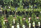 Moulyinningplant-nursery-14.jpg; ?>