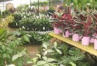 Moulyinningplant-nursery-7.jpg; ?>