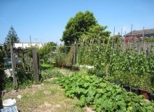 Kwikfynd Vegetable Gardens
moulyinning